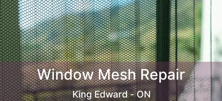  Window Mesh Repair King Edward - ON