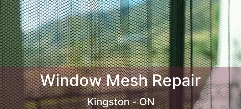  Window Mesh Repair Kingston - ON