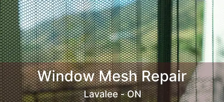 Window Mesh Repair Lavalee - ON