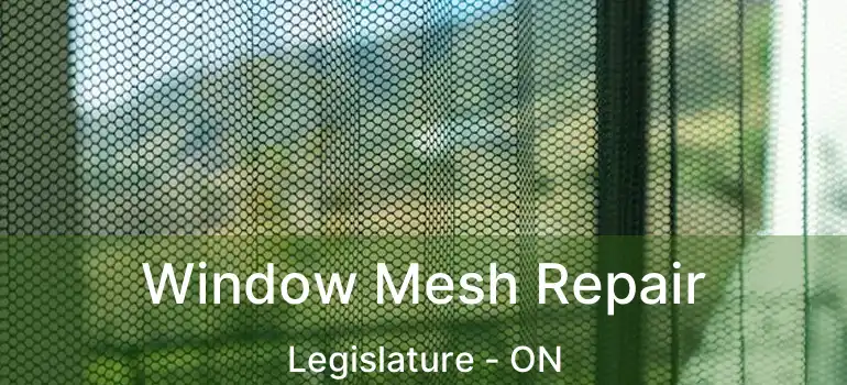  Window Mesh Repair Legislature - ON