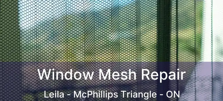  Window Mesh Repair Leila - McPhillips Triangle - ON