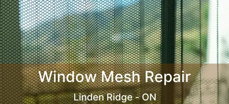  Window Mesh Repair Linden Ridge - ON