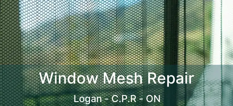  Window Mesh Repair Logan - C.P.R - ON