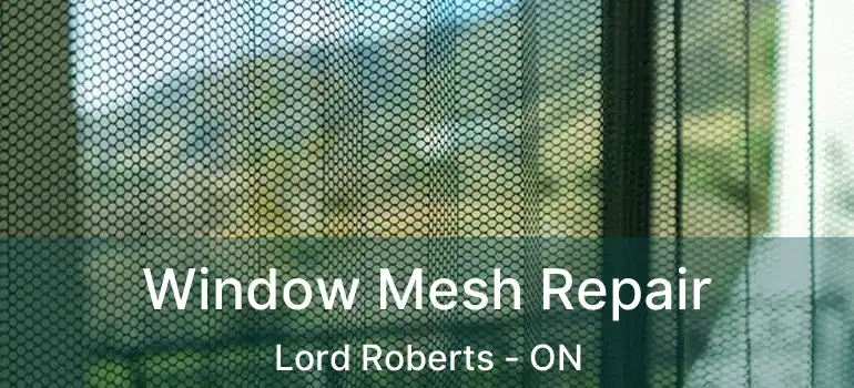  Window Mesh Repair Lord Roberts - ON