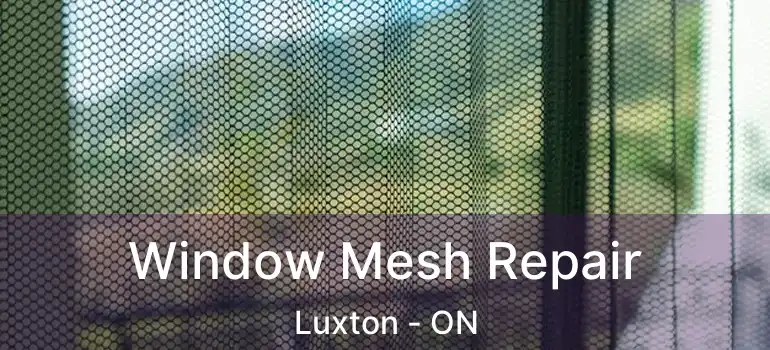  Window Mesh Repair Luxton - ON