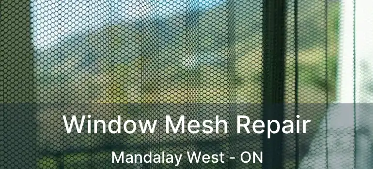  Window Mesh Repair Mandalay West - ON