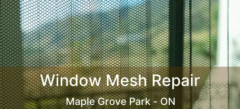  Window Mesh Repair Maple Grove Park - ON