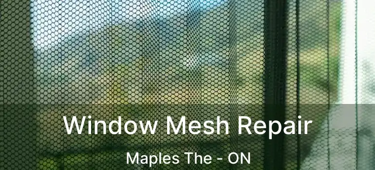  Window Mesh Repair Maples The - ON