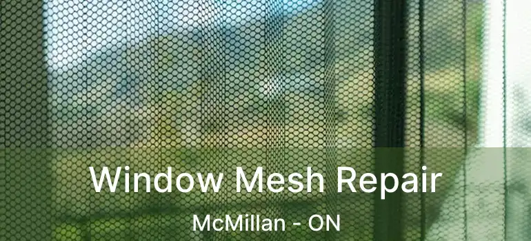  Window Mesh Repair McMillan - ON