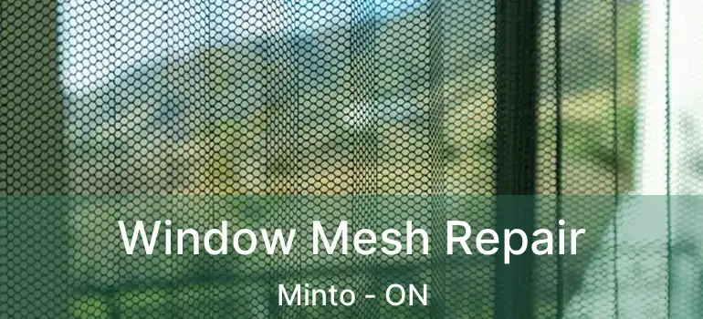  Window Mesh Repair Minto - ON