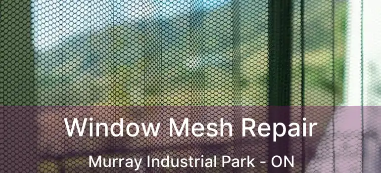 Window Mesh Repair Murray Industrial Park - ON