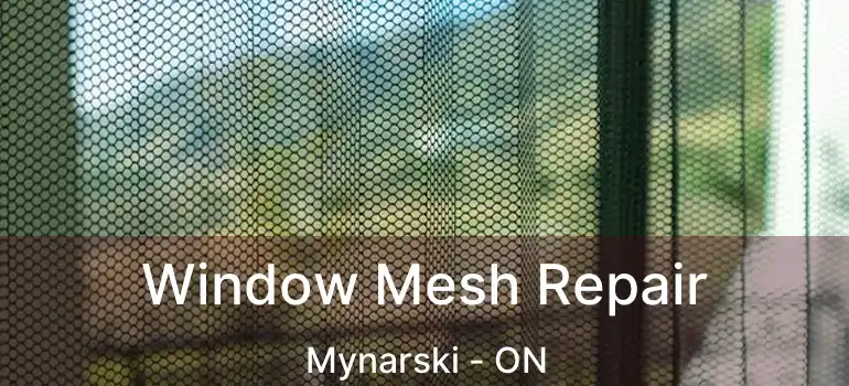  Window Mesh Repair Mynarski - ON
