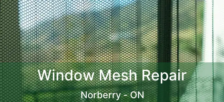  Window Mesh Repair Norberry - ON