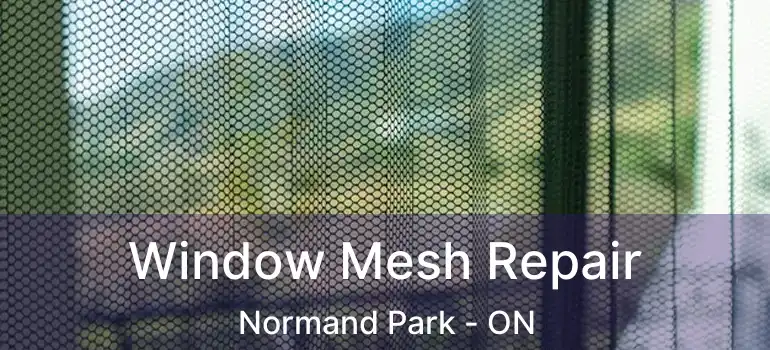  Window Mesh Repair Normand Park - ON