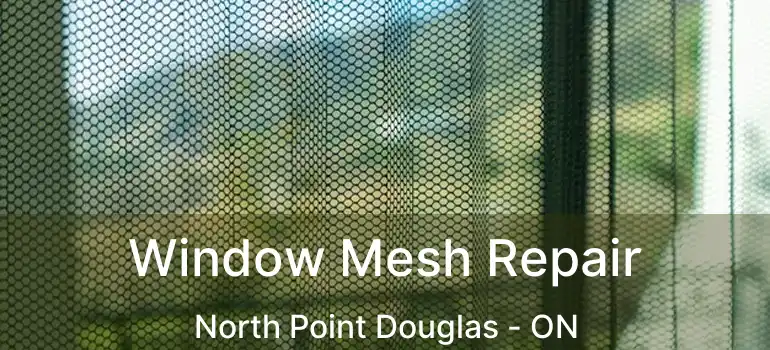  Window Mesh Repair North Point Douglas - ON