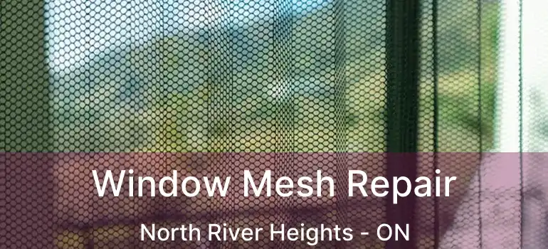  Window Mesh Repair North River Heights - ON