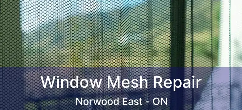  Window Mesh Repair Norwood East - ON