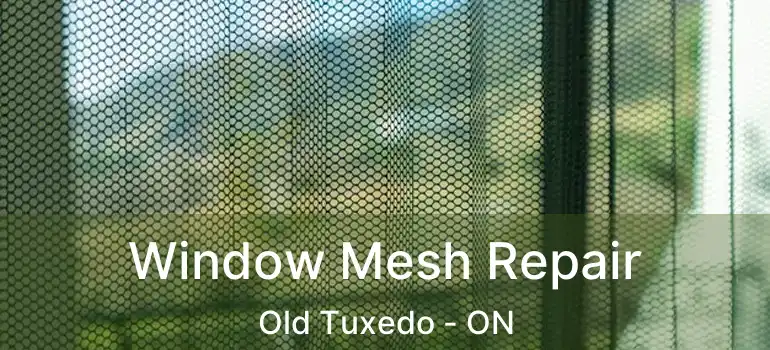  Window Mesh Repair Old Tuxedo - ON