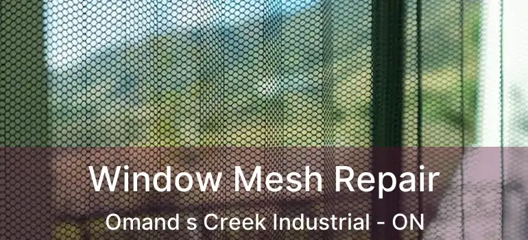  Window Mesh Repair Omand s Creek Industrial - ON