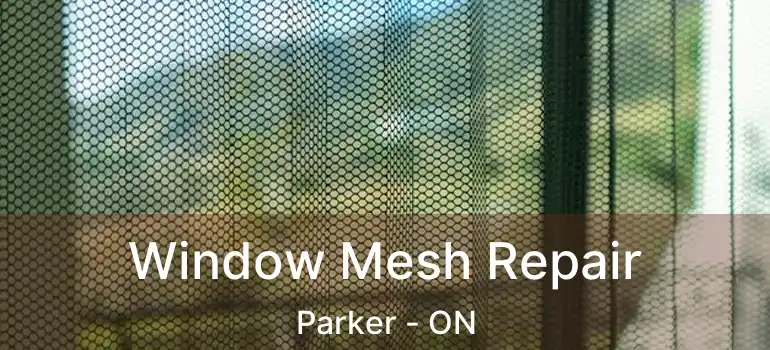  Window Mesh Repair Parker - ON