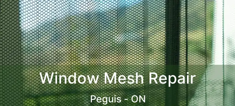  Window Mesh Repair Peguis - ON