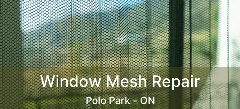  Window Mesh Repair Polo Park - ON