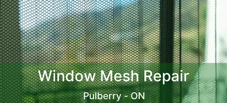  Window Mesh Repair Pulberry - ON