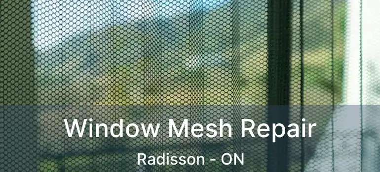  Window Mesh Repair Radisson - ON