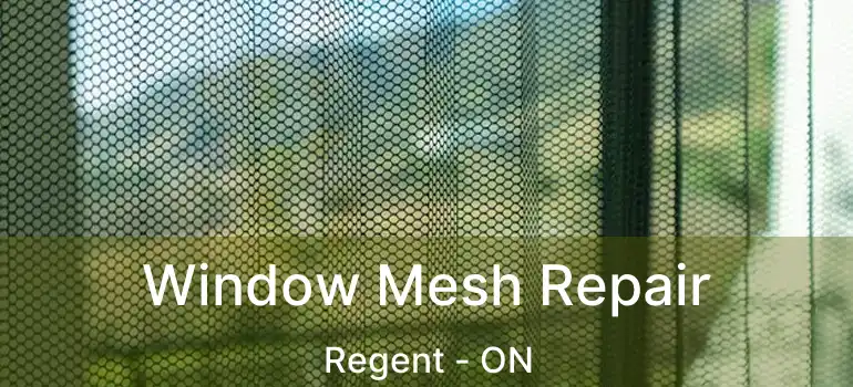  Window Mesh Repair Regent - ON