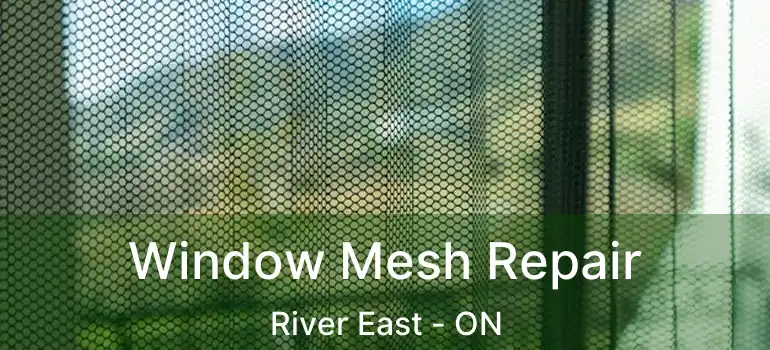  Window Mesh Repair River East - ON