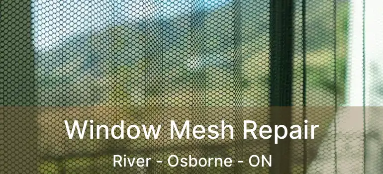  Window Mesh Repair River - Osborne - ON