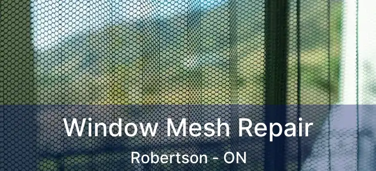  Window Mesh Repair Robertson - ON