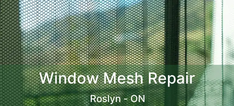  Window Mesh Repair Roslyn - ON