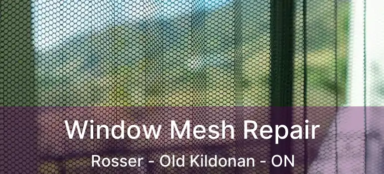 Window Mesh Repair Rosser - Old Kildonan - ON