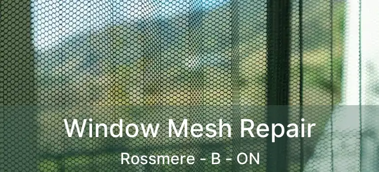 Window Mesh Repair Rossmere - B - ON