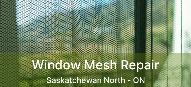  Window Mesh Repair Saskatchewan North - ON