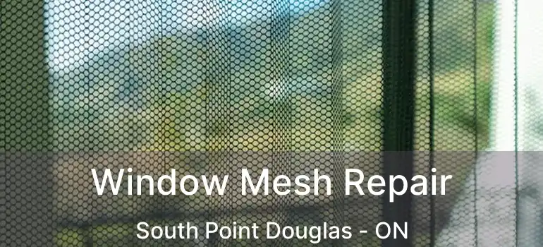  Window Mesh Repair South Point Douglas - ON