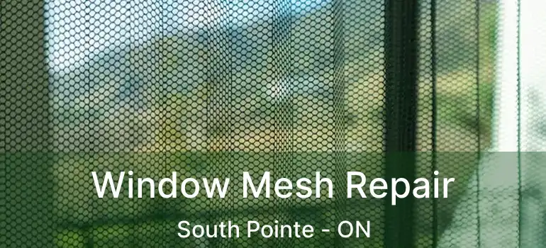  Window Mesh Repair South Pointe - ON