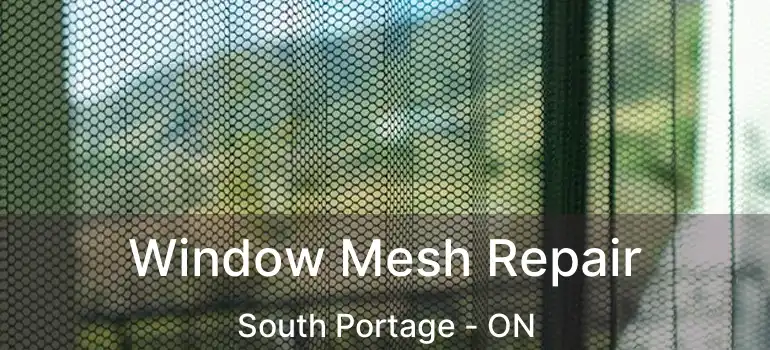  Window Mesh Repair South Portage - ON