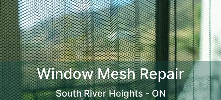  Window Mesh Repair South River Heights - ON