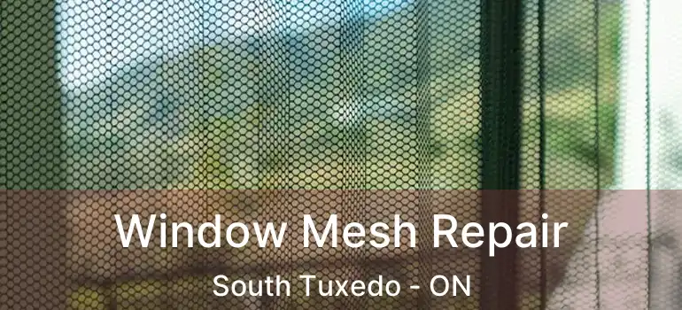  Window Mesh Repair South Tuxedo - ON