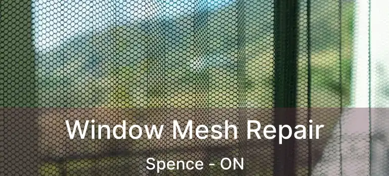  Window Mesh Repair Spence - ON