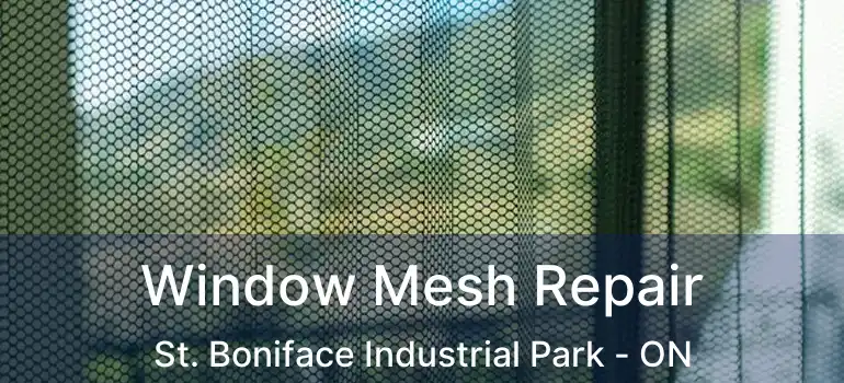  Window Mesh Repair St. Boniface Industrial Park - ON
