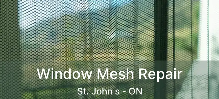  Window Mesh Repair St. John s - ON