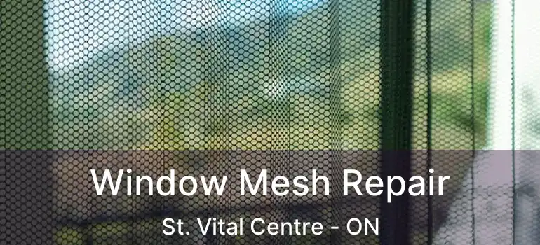 Window Mesh Repair St. Vital Centre - ON