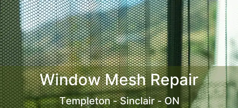  Window Mesh Repair Templeton - Sinclair - ON