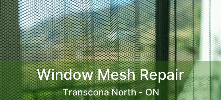  Window Mesh Repair Transcona North - ON