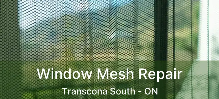  Window Mesh Repair Transcona South - ON