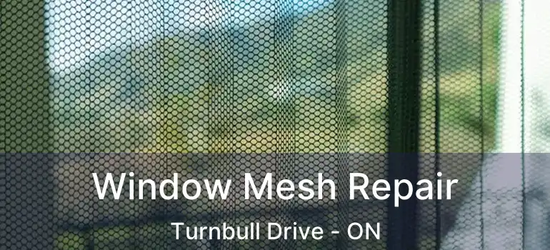  Window Mesh Repair Turnbull Drive - ON