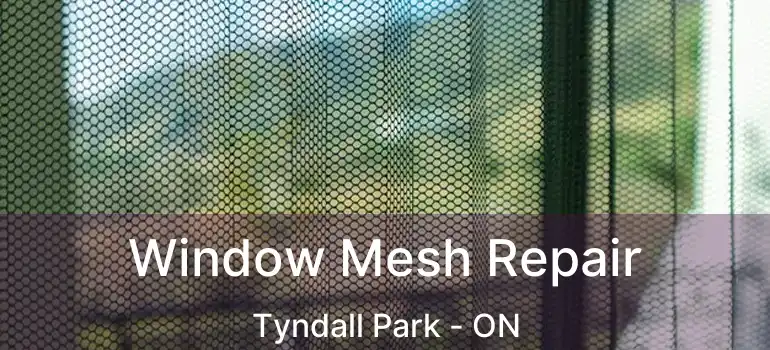  Window Mesh Repair Tyndall Park - ON